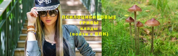 прущие крисы Алзамай