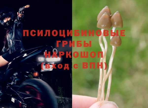 ALPHA PVP Алексин