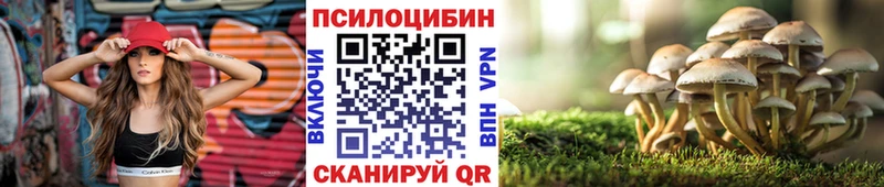 Псилоцибиновые грибы Psilocybe  Лаишево 
